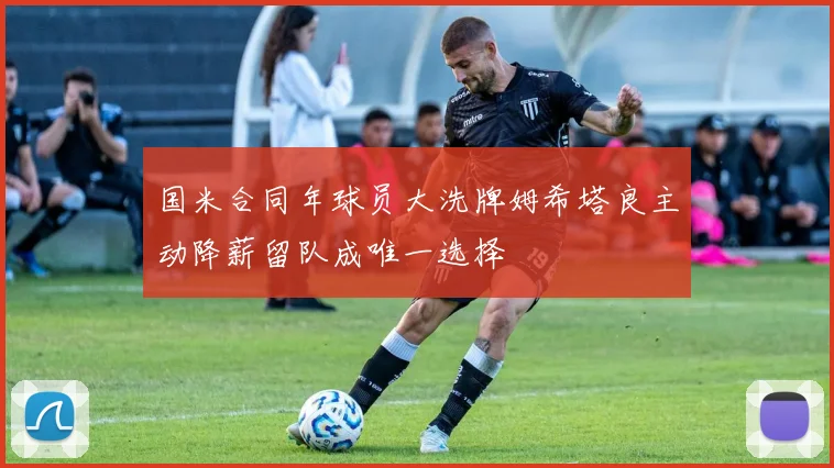 国米合同年球员大洗牌姆希塔良主动降薪留队成唯一选择