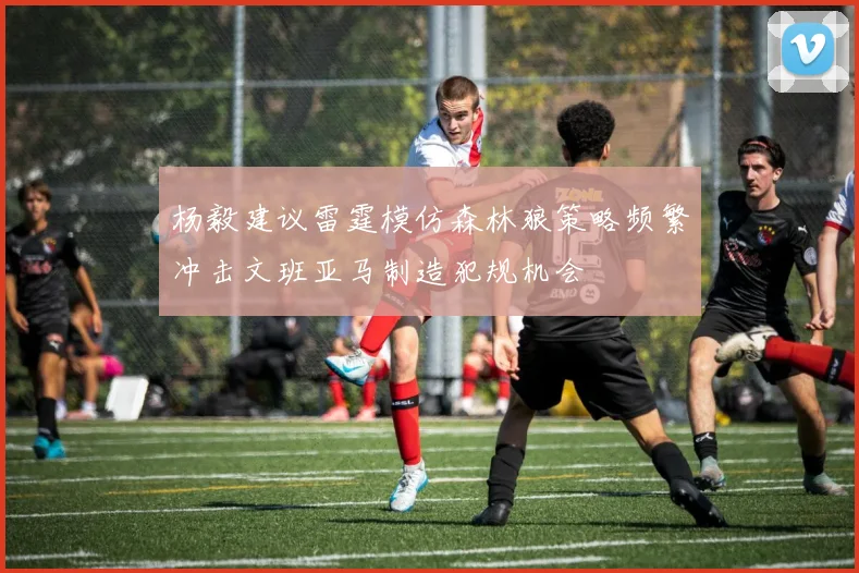 杨毅建议雷霆模仿森林狼策略频繁冲击文班亚马制造犯规机会
