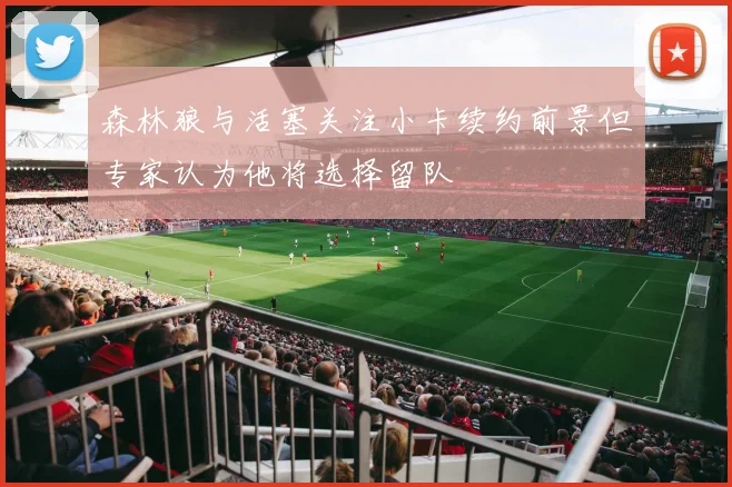 森林狼与活塞关注小卡续约前景但专家认为他将选择留队